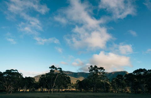 Werriberri - Holiday Find 2