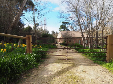 Blakiston Creamery - Holiday Find 0