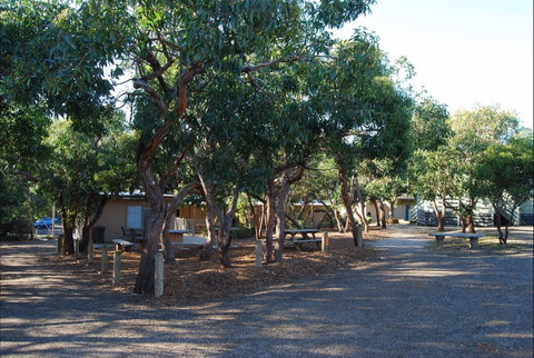 Burnside Camp - Holiday Find 5