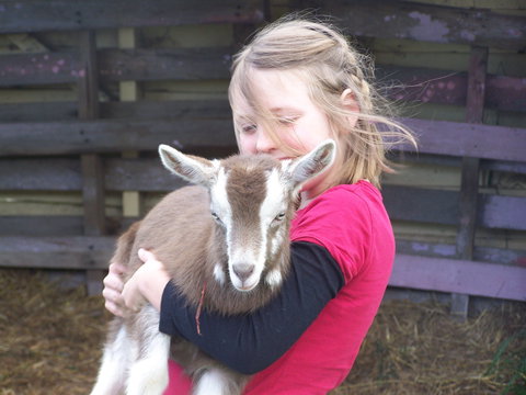 Eden Orchard And Farmstay - Holiday Find 3