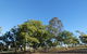 Forest Lodge Highfields - thumb 6