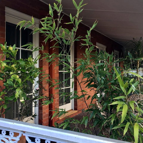 Heathcote Contemporary Art Boutique Accommodation - Holiday Find 6