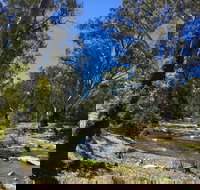 Highfield Farm and Woodland Bush Campsites - Holiday Find