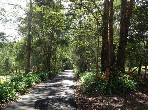 Maleny Country Cottages - Holiday Find 8
