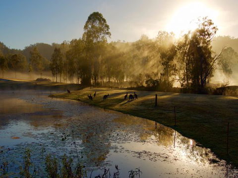 Ramada Resort Kooralbyn Valley - Holiday Find 6
