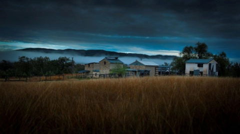 Roseneath  Farm Stay - Holiday Find 3