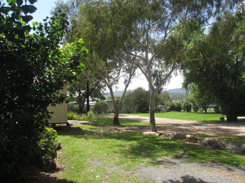 Tenterfield Lodge Caravan Park - Holiday Find 1