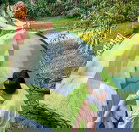 Warrabah campground and picnic area - Holiday Find