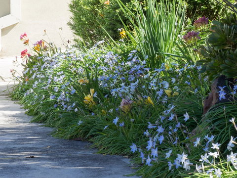 Austin Rise B&B - Holiday Find 2