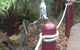 Bruny Island Retreat - thumb 1