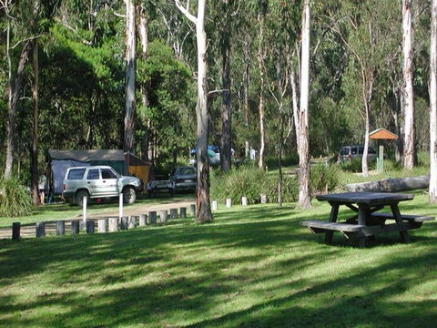 Chaelundi Campground - Holiday Find 0