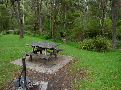 Chaelundi Campground - Holiday Find 1