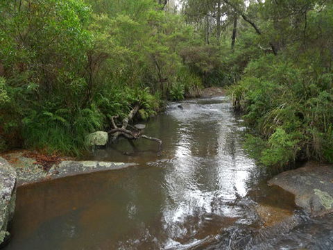 Chaelundi Campground - Holiday Find 2