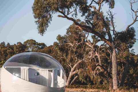 Coonawarra Bubble Tents - Holiday Find 0