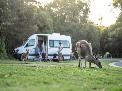 Diamond Head Campground - Holiday Find 3