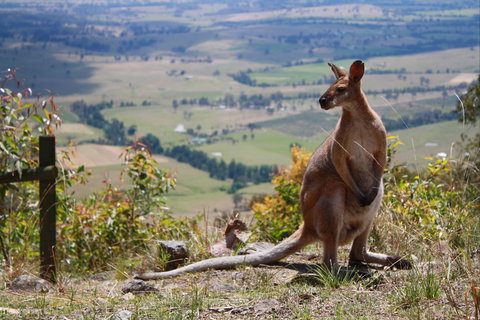 Eaglereach Wilderness Resort - Holiday Find 0