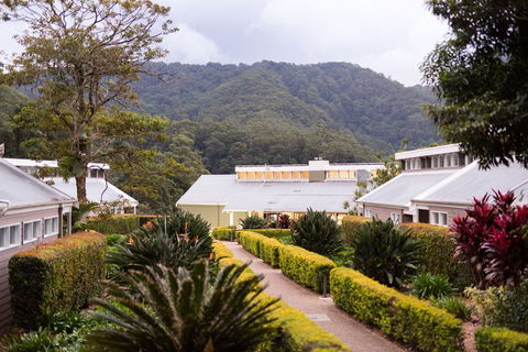 Eden Health Retreat - Holiday Find 0