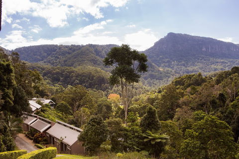 Eden Health Retreat - Holiday Find 2