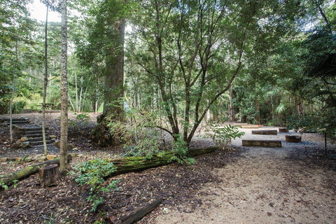 Eungella National Park Camping - Holiday Find 0
