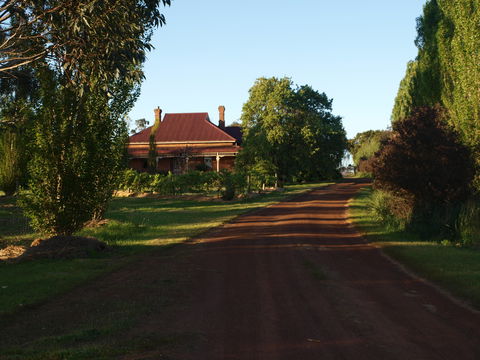 Pierrepoint Wines Bed & Breakfast - Holiday Find 4