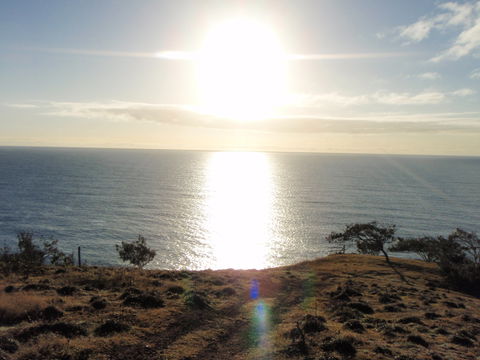 South End Camping Ground - Holiday Find 1