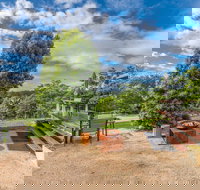 Twin Tallows - Holiday Find