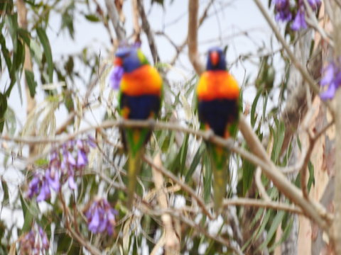 Twilight Grove Farm Bed And Breakfast - Holiday Find 0