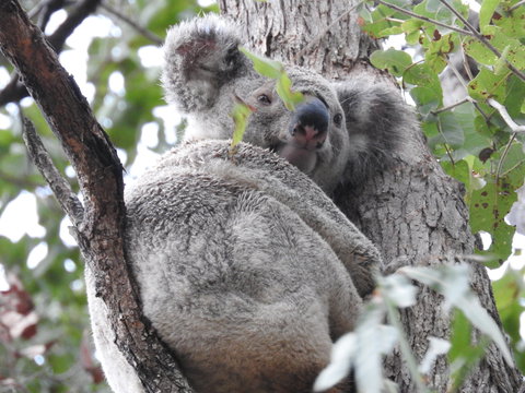 Twilight Grove Farm Bed And Breakfast - Holiday Find 1