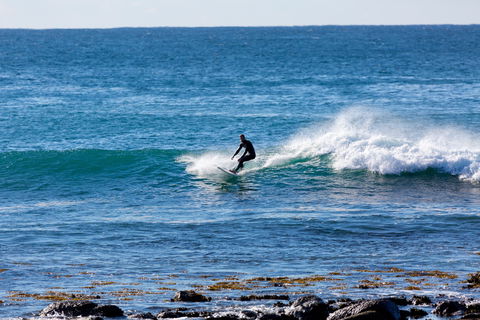 Werri Beach Holiday Park - Holiday Find 4