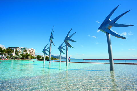 NRMA Cairns Holiday Park - Holiday Find 1