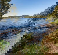 Tattersalls campground - Holiday Find