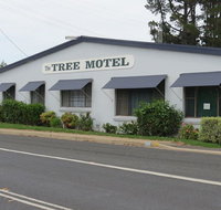 Tree Motel - Holiday Find
