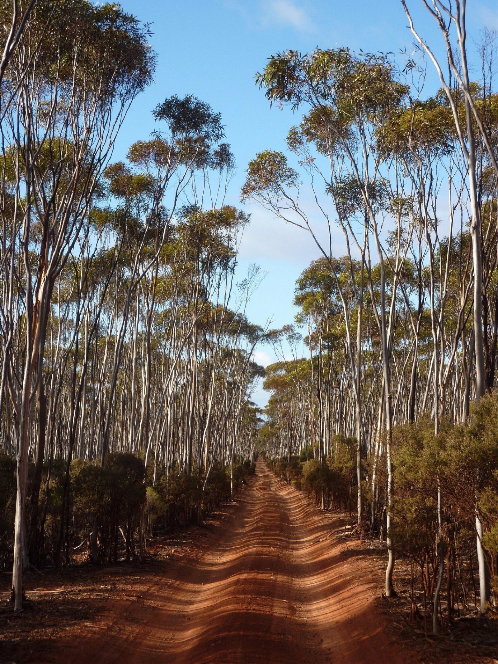 Victoria Rock WA Holiday Find