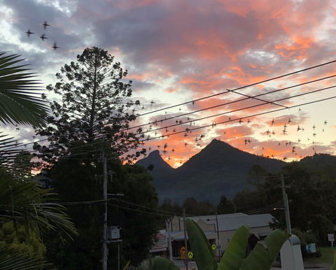 Chesson Lodge- In The Heart Of Uki - Holiday Find 0