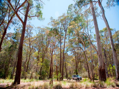 Coolah Tops National Park Camping - Holiday Find 0