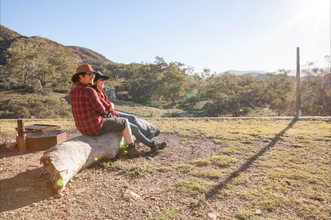 Grindell's Hut - Holiday Find 2