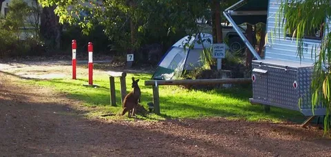 Aroundtu-It Eco Caravan Park - Holiday Find 5