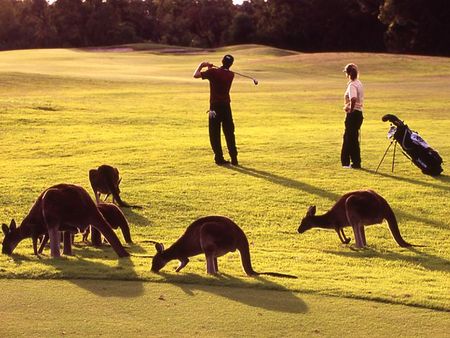 Novotel Swan Valley Vines Resort - Holiday Find 1