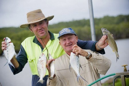 Terrace Reserve Holiday Park - Holiday Find 1