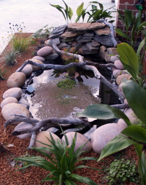 Equal Balance Bed And Breakfast - Holiday Find 0