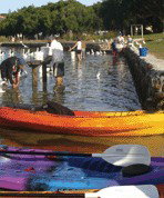 Turner Caravan Park - Holiday Find 1