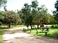 Gracetown Caravan Park - Holiday Find 1