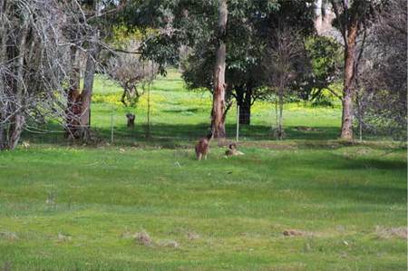 Chalets On Stoneville - Holiday Find 0