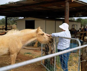 Reedy WA Holiday Find