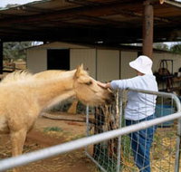 Nallan Station - Holiday Find