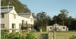 Watermark Kilns - Holiday Find