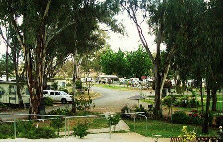 Buronga Riverside Tourist Park - Holiday Find 4