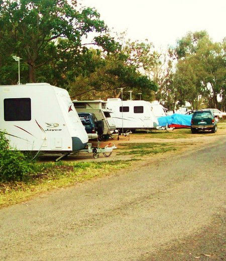 Buronga Riverside Tourist Park - Holiday Find 5