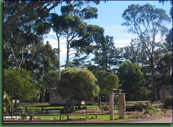 Kalgan River Chalets And Caravan Park - Holiday Find 0