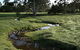 Bolganup Homestead - thumb 3